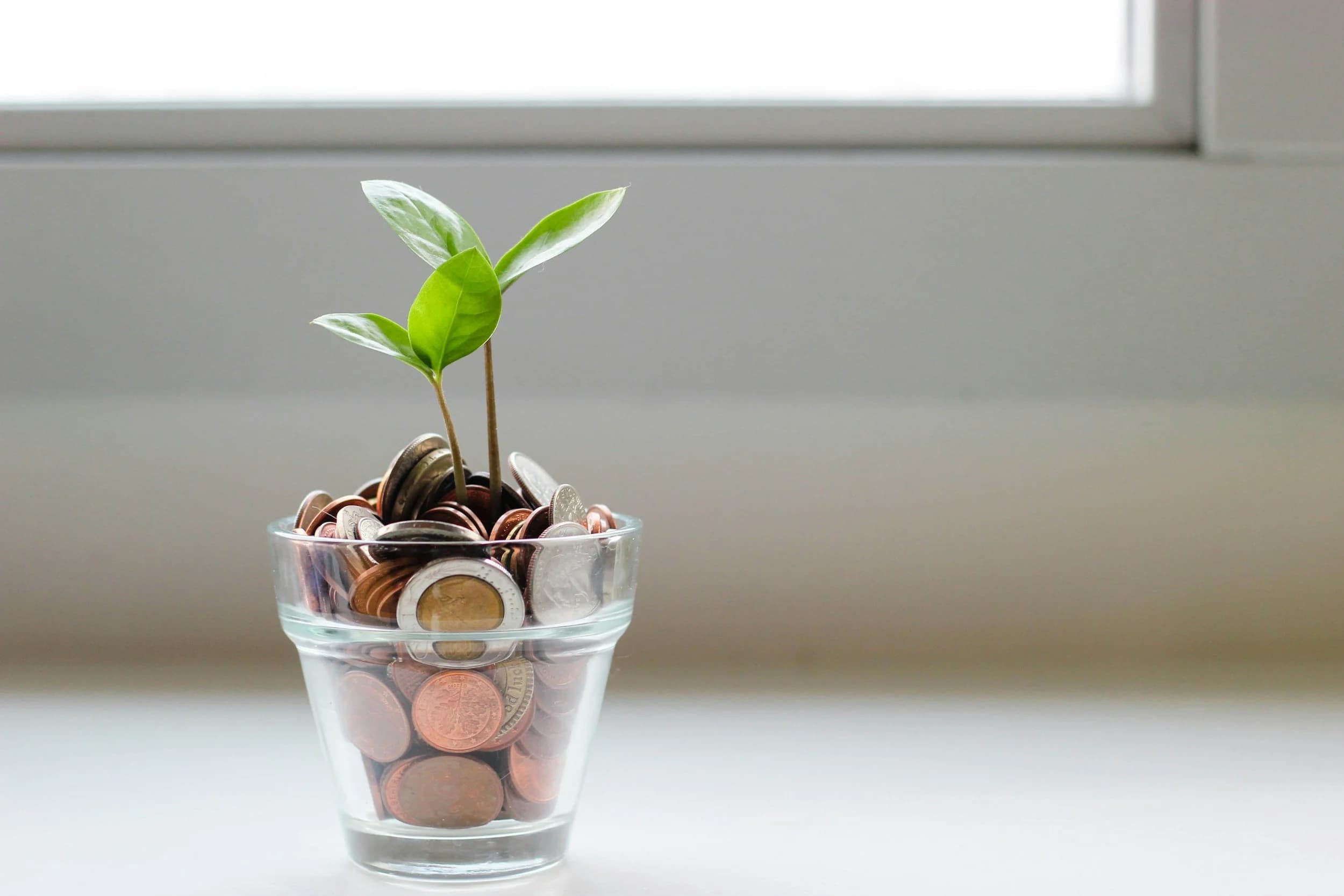 A seedling growing out of a glass jar filled with coins.